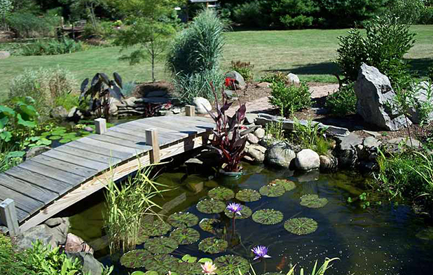 花园池塘