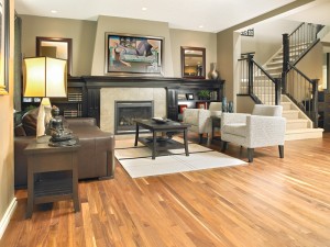 客厅与自然美国胡桃木硬木地板。