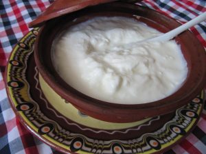 Bulgarian_yogurt